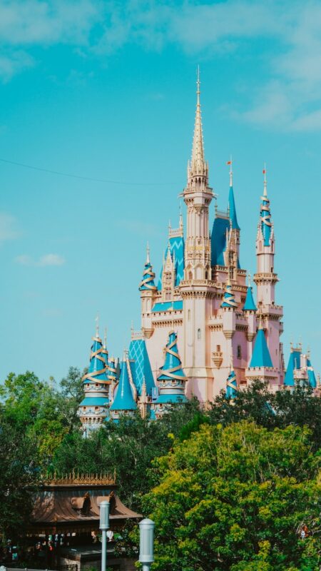 magic kingdom - Disney tickets 